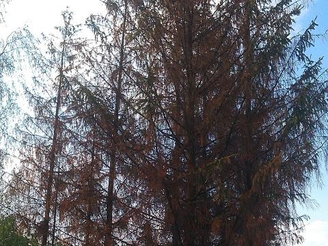 Foto: MěÚ Valašské Meziříčí