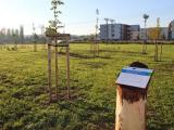 Foto: MěÚ Uherské Hradiště