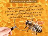 Ilustrační foto (Foto: Městský dům kultury Elektra)