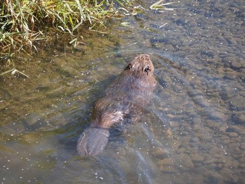 Foto: MěÚ Valašské Meziříčí