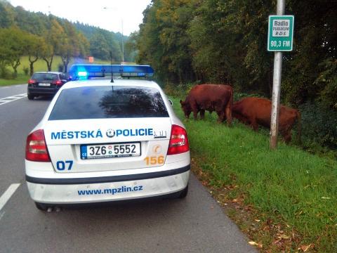 Foto: Městská policie Zlín