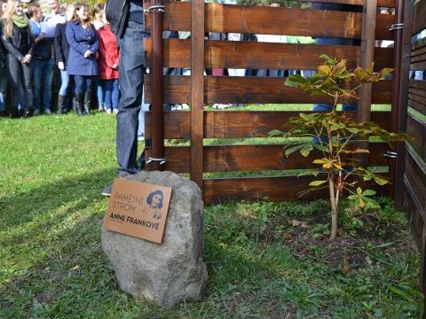 Foto: MěÚ Rožnov pod Radhoštěm