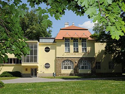 Ilustrační foto (Foto: Slovácké muzeum v Uherském Hradišti )