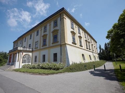 Stromové slavnosti se uskuteční v parku Svobody u zámku (Foto: MěÚ Zlín)