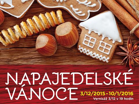 Napajedelské Vánoce (Foto: Klub kultury Napajedla)