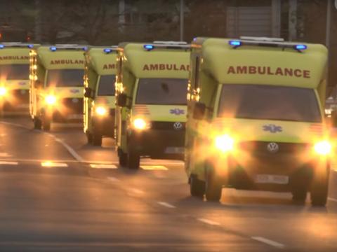 Defilé žlutých krasavic (Foto: Zlin.cz)