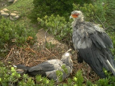 Foto: ZOO a zámek Zlín - Lešná