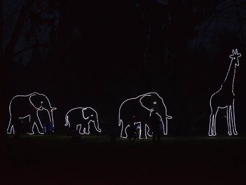 Ilustrační foto (Foto: Facebook ZOO a zámek Zlín - Lešná)