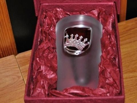 Cena města Valašské Meziříčí (Foto: MÚ Valašské Meziříčí)