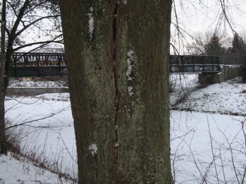 Foto: MěÚ Valašské Meziříčí