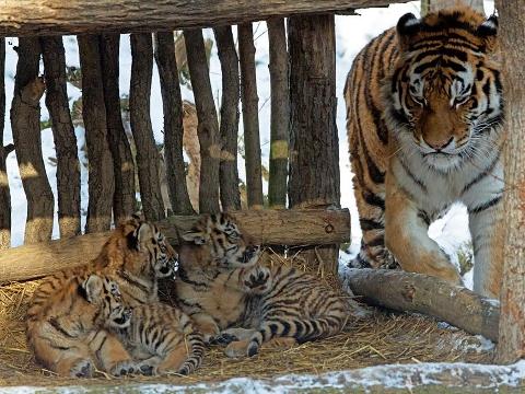 Foto: Facebook ZOO a zámek Zlín - Lešná