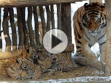 Foto: Facebook ZOO a zámek Zlín - Lešná
