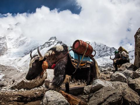 Himalaya (Foto: Expediční kamera)