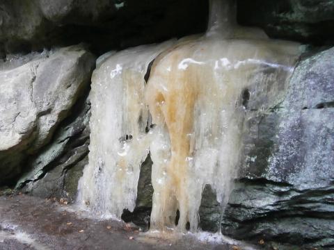 Foto: Jaromír Navrátil