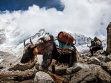 Himalaya (Foto: Expediční kamera)