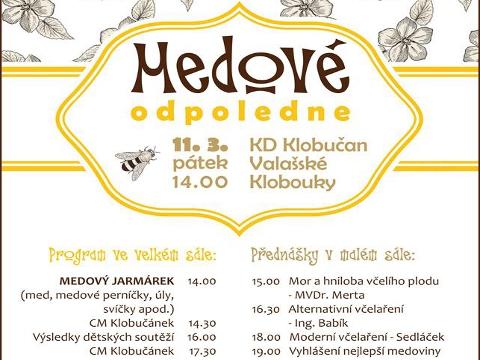 Ilustrační foto (Foto: MěÚ Valašské Klobouky)