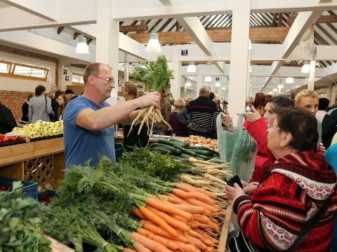 Ilustrační foto (Foto: Skupina SYNOT)