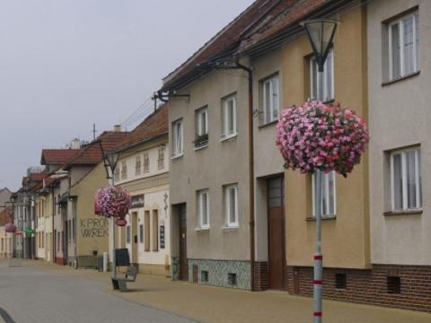 Ilustrační foto (Foto: Květoslav Fryšták)