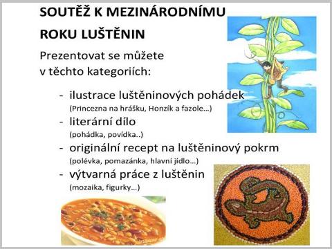 Ilustrační foto (Foto: knihovna.holesov.info)