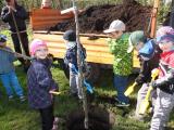 Děti z MŠ Luh při sázení svého stromečku (Foto: Adéla Kousalová)