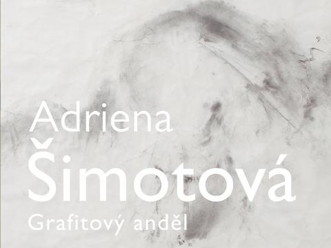 Ilustrační foto (Foto: Zlínský zámek)