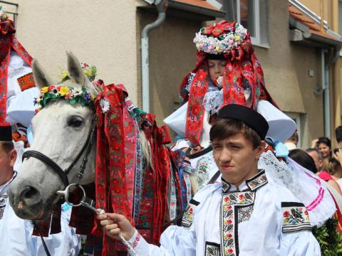 Foto: Jonáš Adam Foto: Jonáš Adam