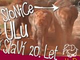 Ilustrační foto (Foto: ZOO a zámek Zlín - Lešná)