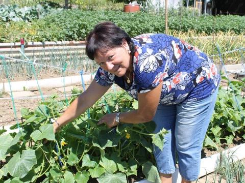 Dagmar Dvouletá (Foto: Zlin.cz)