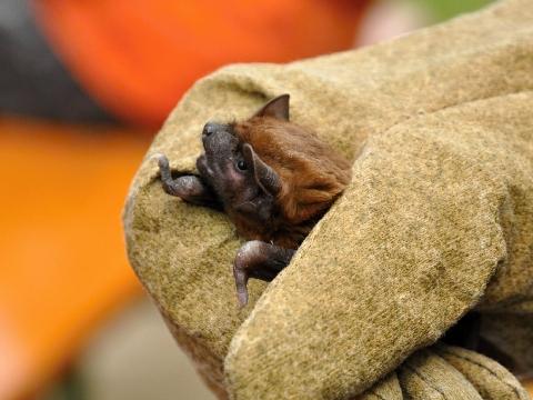 Ilustrační foto (Foto: MěÚ Zlin)