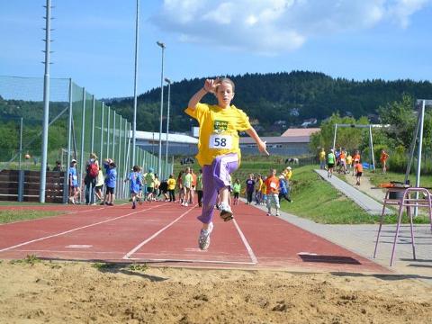 Ilustrační foto (Foto: www.rodm.cz)