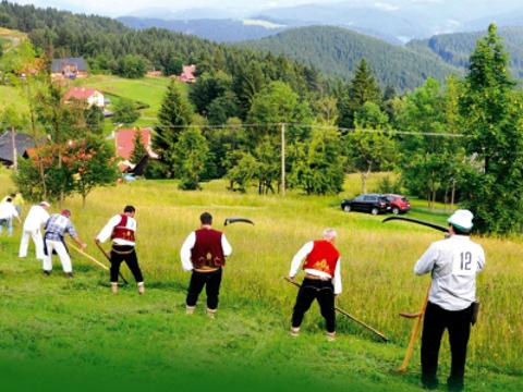 Ilustrační foto (Foto: www.zvonice.eu)