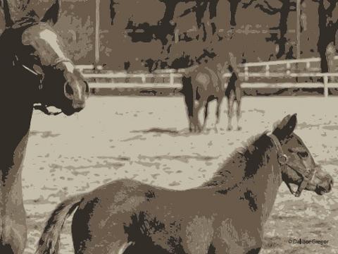 Ilustrační foto (Foto: Klub kultury Napajedla)