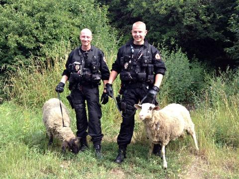 Foto: Městská policie Zlín