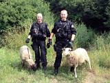 Foto: Městská policie Zlín