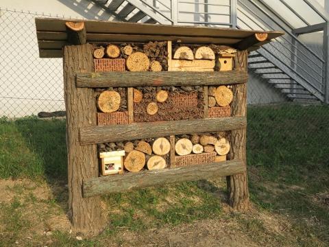 Foto: ČSOP Valašské Meziříčí