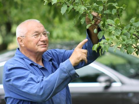 Pan Bureš v sadu (Foto: Zlin.cz)