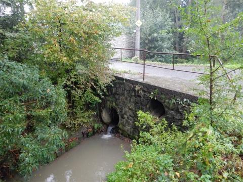 Ilustrační foto (Foto: Foto Hvozdná)