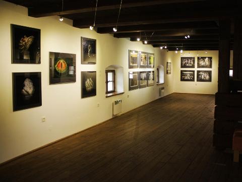 Foto: Kulturní zařízení města Valašského Meziříčí