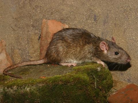 Ilustrační foto (Foto: MěÚ Zlin)