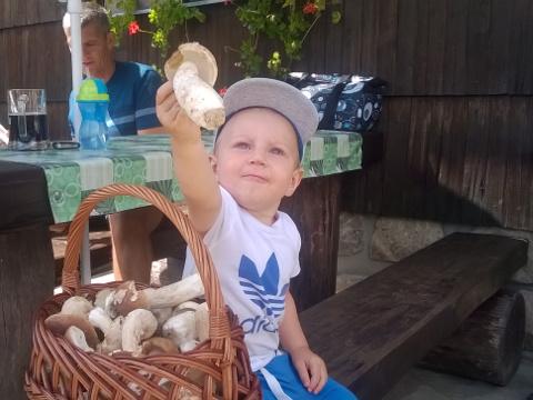 Tadeášek a houby (Foto: Zlin.cz)