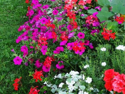 Ilustrační foto (Foto: Otrokovice)