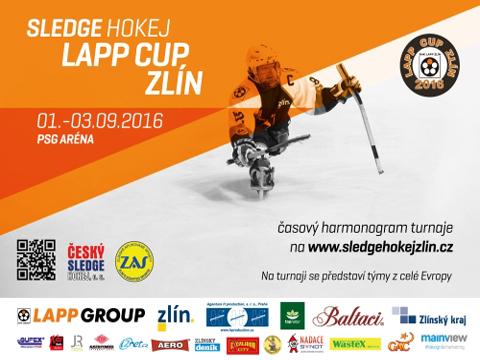 Ilustračni foto (Foto Sledgehokej.cz)