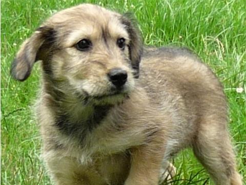 Ilustrační foto (Foto: město Valašské Meziříčí)