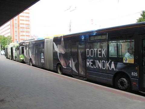 Ilustrační foto (Foto: DSZO)