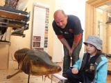zoologická expozice na Hradu Malenovice (Foto: MJVM)