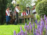 Setkání muzikantů (Foto: Město Valašské Klobouky) Setkání muzikantů (Foto: Město Valašské Klobouky)