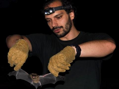 Ilustrační foto (Foto: MěÚ Zlin)