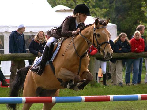 Ilustrační foto (Foto: Wikimedia - Malene Thyssen)