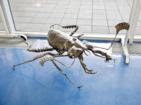 Foto: Zlínský kraj