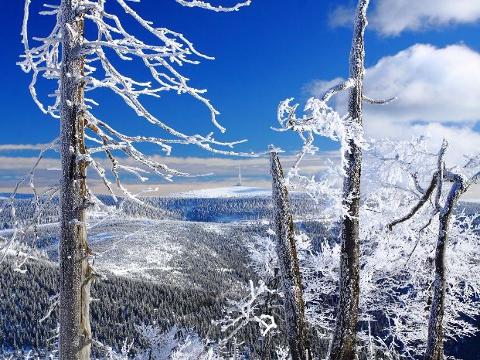 Ilustrační foto (Foto: MěÚ Zlín)